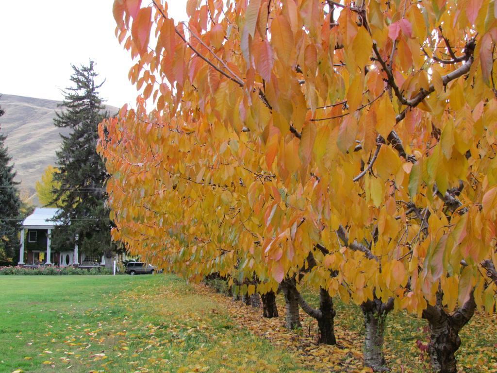 Warm Springs Inn & Winery Sunnyslope Esterno foto